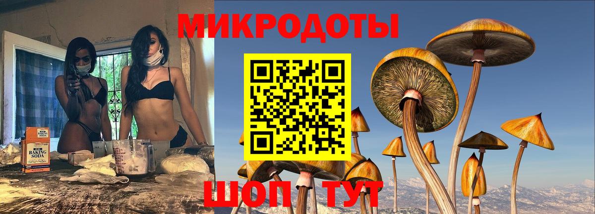Псилоцибиновые грибы MAGIC MUSHROOMS Саратов
